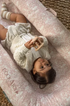 Grand Dock - Brer Rabbit -DockATot 10261 5 scaled