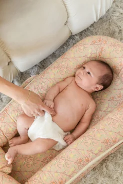 Spare Cover (Deluxe+) - Fruit -DockATot 20391 7 scaled