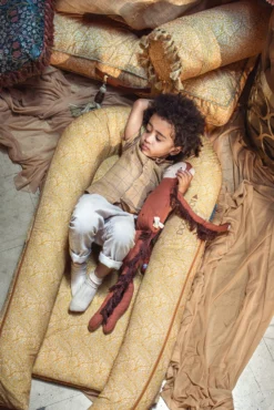 Spare Cover (Grand) - Golden Willow Boughs -DockATot 20498 4 scaled