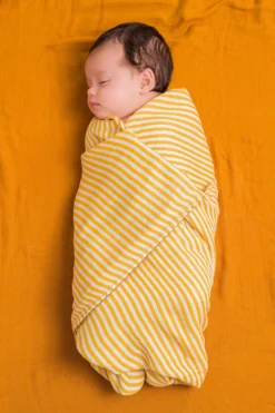 DockATot Swaddle Set - Golden Stripe / Pumpkin Spice -DockATot 615129 07 scaled