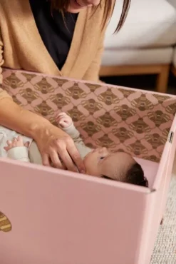 Kind Essential Bassinet - Blush Bee -DockATot Small JPG Day20112